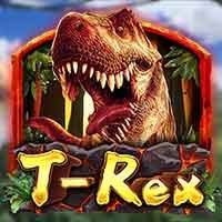 dragonsoft